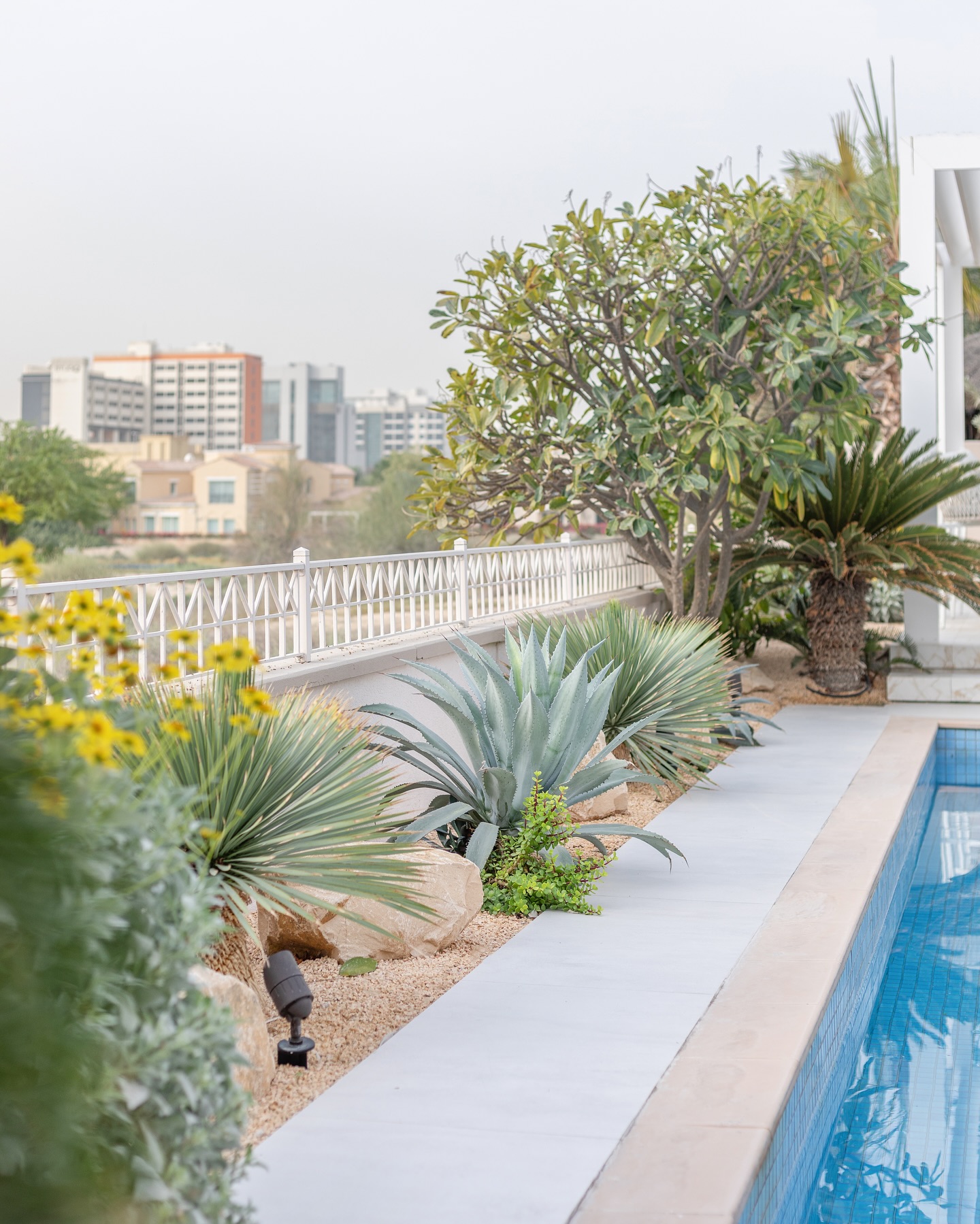 Desert xeriscaping with water-efficient succulents