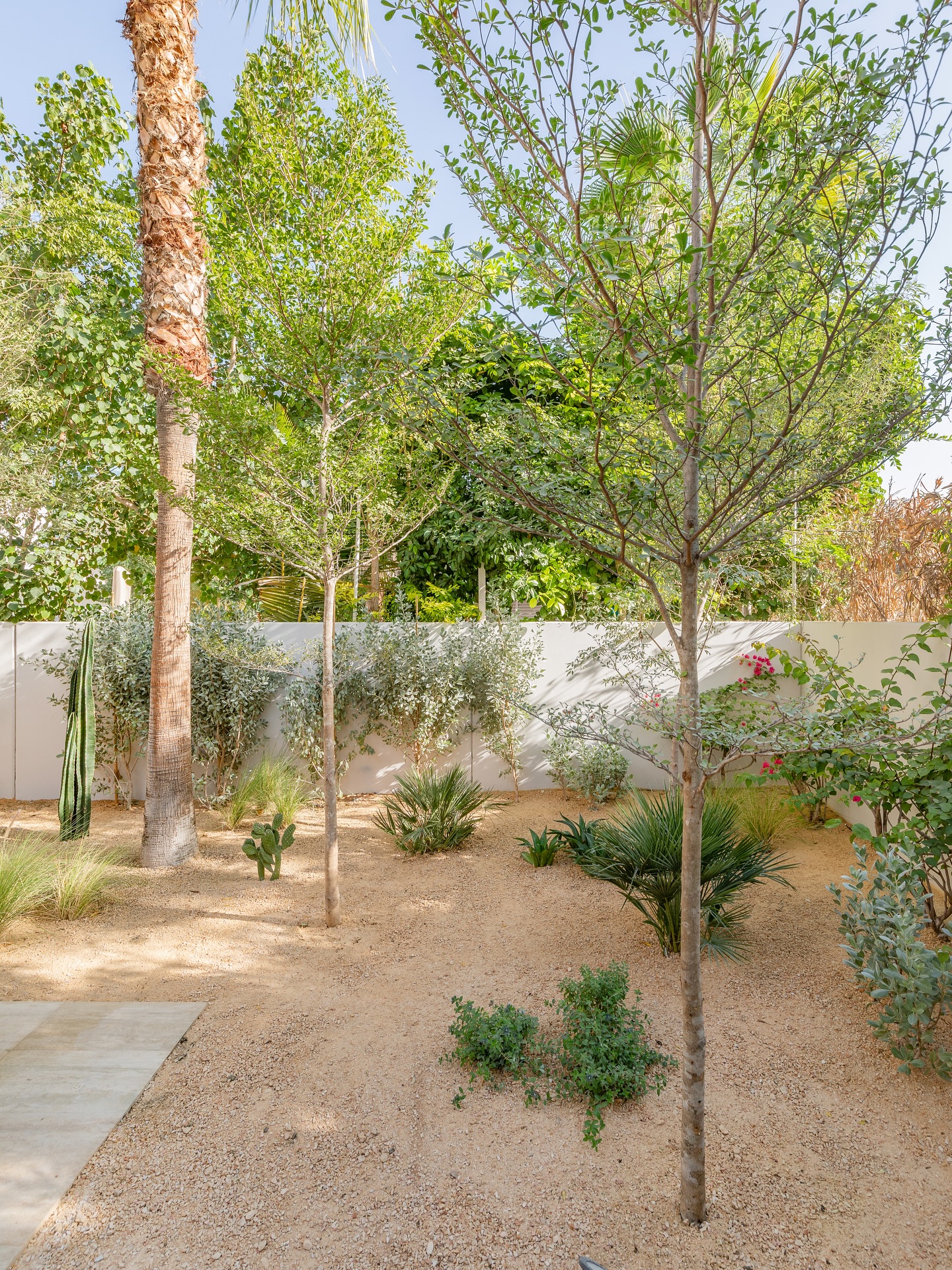 Meadows villa garden before and after