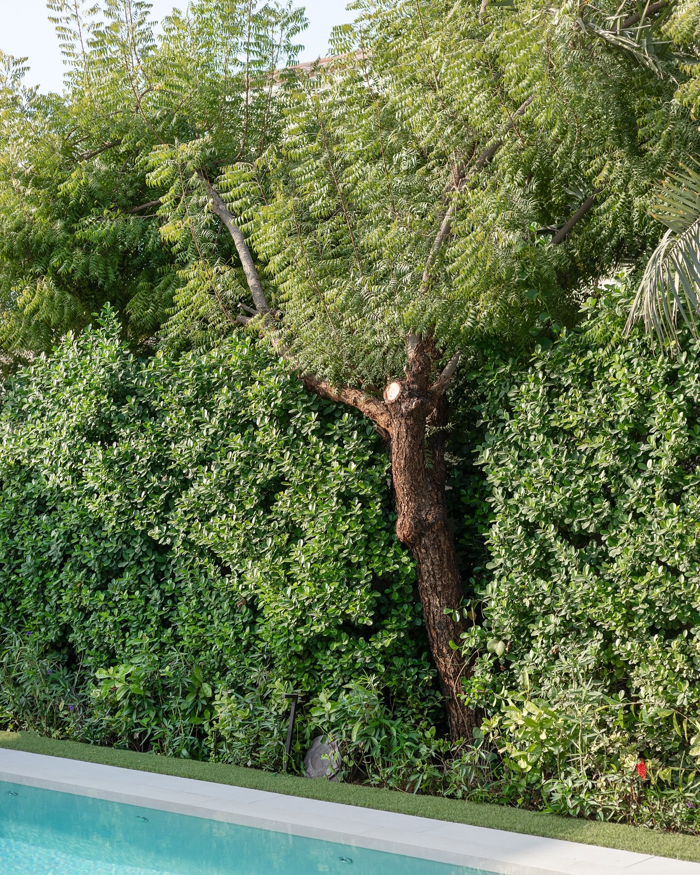 Welcoming villa entrance garden design