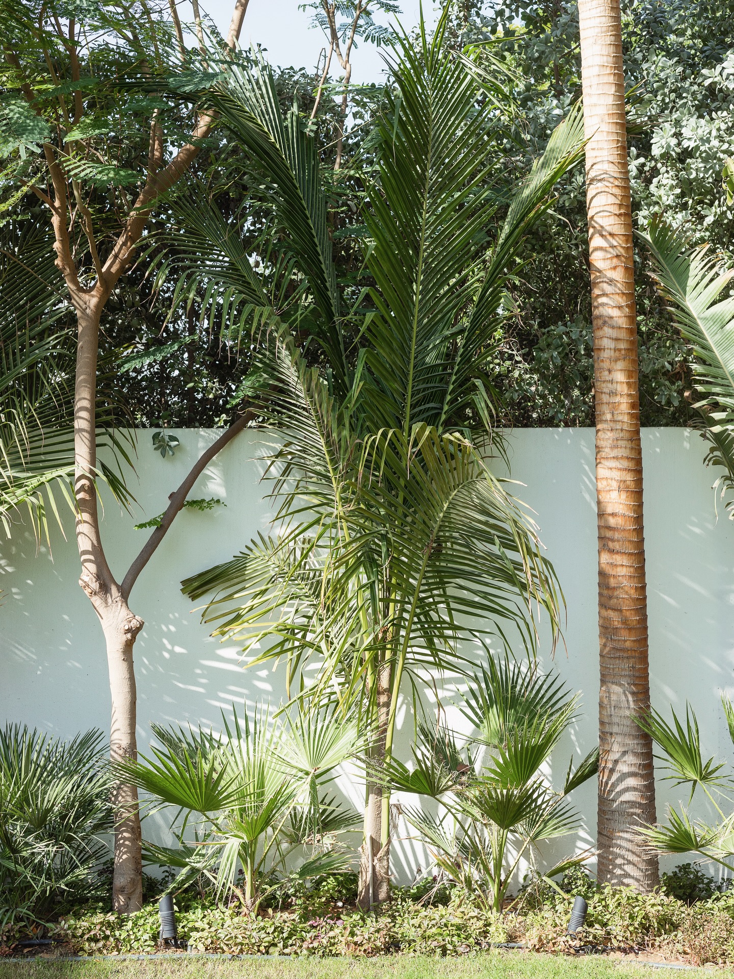 Modern villa garden design in Al Barari