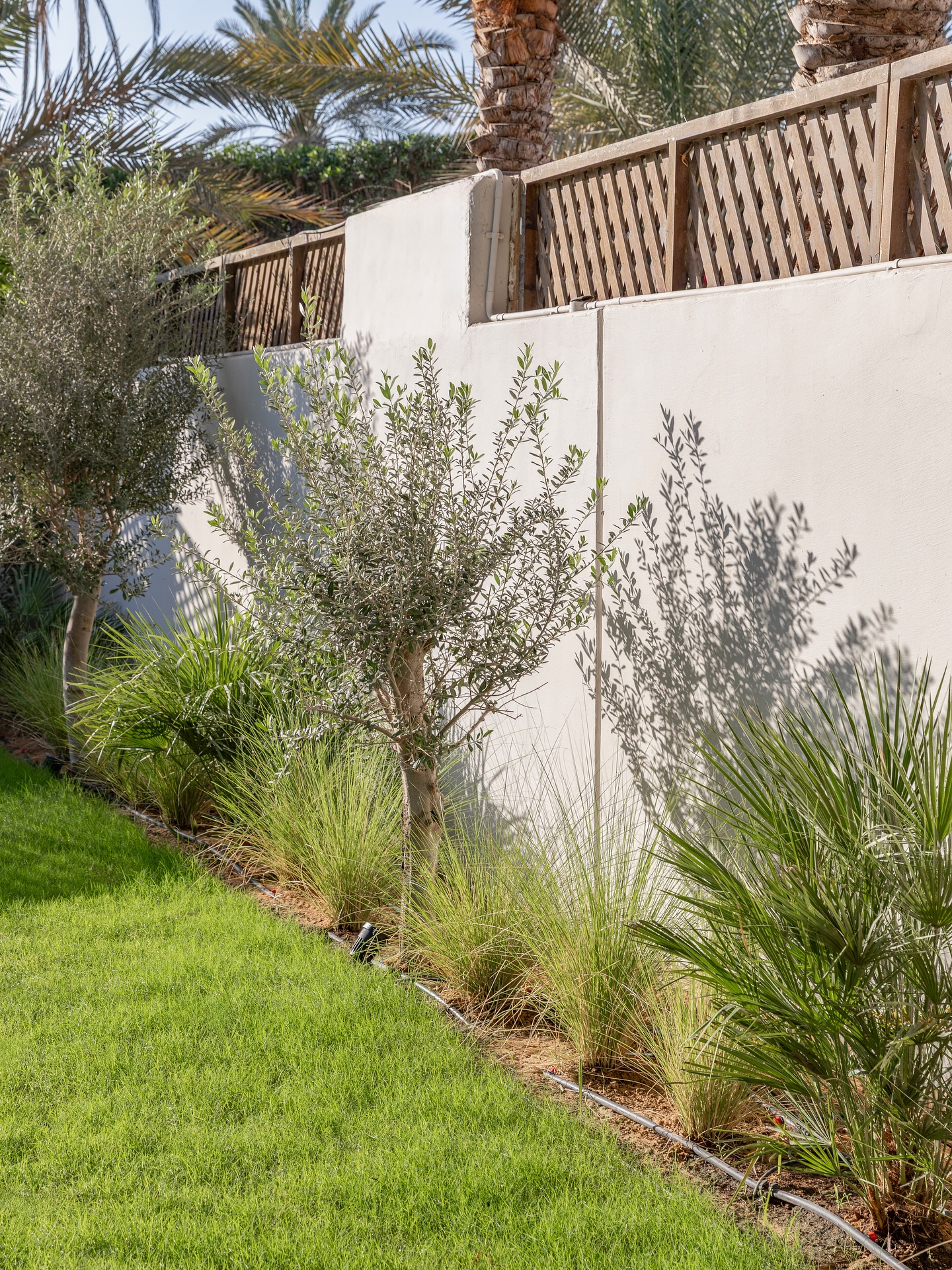 Structured garden planting design